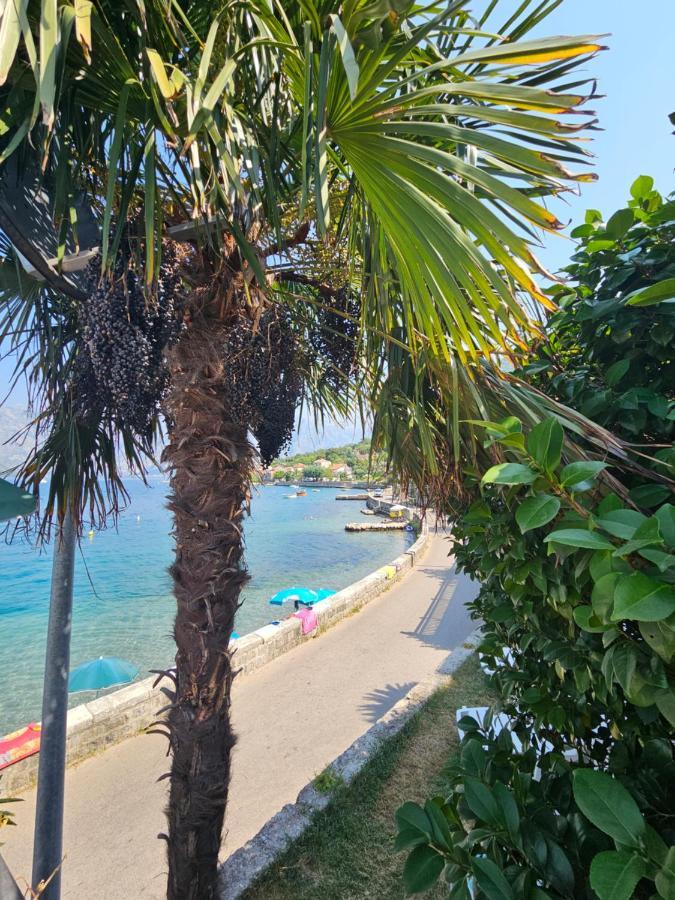 Apartmani Markovic Kotor Extérieur photo